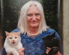 Wystawa „Porcelana jeszcze Inaczej”, Wrocław, Bulvary