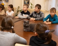 <p>Dzieci ze Szkoły Podstawowej 99, przy ul. Głubczyckiej 3, klasa III &ndash; 24 dzieci i klasa II &ndash; 23 dzieci</p>