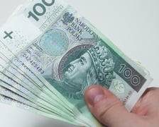 Ekonomiści zwracają uwagę, że dochód gwarantowany krótkoterminowo może mieć pozytywne skutki społeczne (ograniczanie nierówności, wspieranie rozwoju regionów uboższych) i ekonomiczne (zwiększenie popytu konsumpcyjnego), ale na dłuższą metę może być swoistą bombą z opóźnionym zapłonem. Rodzi bowiem długofalowe ryzyka społeczne (zniechęcanie ludności do podejmowania pracy, czy później rozwoju zawodowego