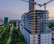 Firma Anegis będzie w Centrum Południe