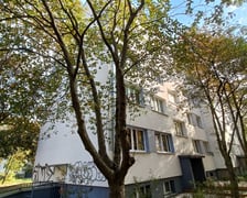 <h2>Ulica Zielonog&oacute;rska 9/U1A. Stare Miasto. Cena: 308.000 zł.</h2>
<p>Lokal użytkowy składa się z dw&oacute;ch pomieszczeń, jednego higieniczno-sanitarnego oraz korytarza. Położony na I kondygnacji (piwnica). Wejście bezpośrednio z zewnątrz, po schodach w d&oacute;ł. Wysokość 230 cm.&nbsp;Powierzchnia&nbsp;35,39 mkw.</p>