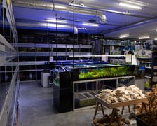 Trzmiel, sklep akwarystyczny na Nowym Dworze we Wrocławiu