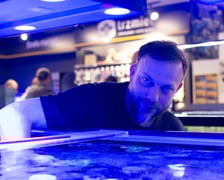 Trzmiel, sklep akwarystyczny na Nowym Dworze we Wrocławiu