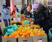 Niedziela handlowa we Wrocławiu. Targ przy Świebodzkim