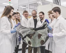 Perowskity - technologia drukowania cienkich i elastycznych ogniw słonecznych. Zastosowanie perowskitów