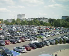 Niedziela w Magnolii Park, 30 czerwca 2024