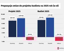 Propozycje zmian do projektu budżetu na 2025 r.
