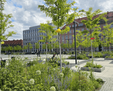 Plac Nowy Targ