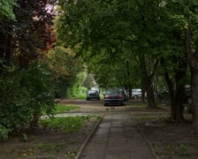 Skwer porośnięty wysokimi drzewami. Wśród drzew parkujące samochody mieszkańców. Wytyczone zaniedbane chodniki.