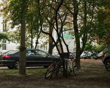 Rowery przywiązane do drzewa. Skwer i teren zieleni. Parkujące na nim samochody. W tle zabudowania mieszkalne.