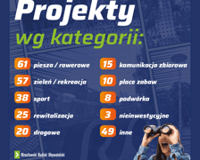 Projekty zgłoszone do WBO 2024 w podziale na kategorie, infografika