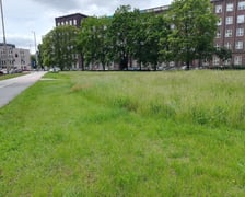 trawnik przy placu Społecznym