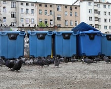 Widok podwórka przy ul. Górnickiego.