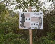 Smocze Uroczysko - naturalistyczny park na osiedlu Strachocin-Swojczyce-Wojnów. Projekt nr 326 w WBO 2021.