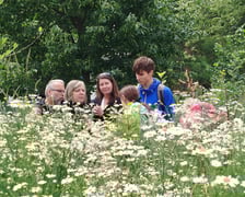 <p>Mikrolas Miyawaki. Wizyta studyjna we Wrocławiu w ramach projektu GreenPlace.</p>