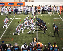 Mecz Panthers Wrocław vs Alpine Rams - 25.07.2026 r.