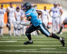 W ostatnim meczu sezonu zasadniczego Panthers Wrocław ograli Vienna Vikings 42:6