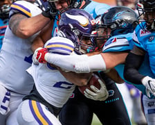 W ostatnim meczu sezonu zasadniczego Panthers Wrocław ograli Vienna Vikings 42:6