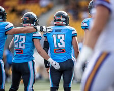 W ostatnim meczu sezonu zasadniczego Panthers Wrocław ograli Vienna Vikings 42:6