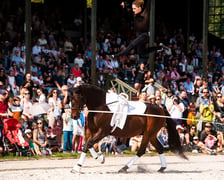 Wielka Wrocławska już 3 września na Partynicach