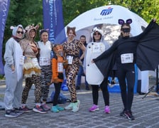 Wild Run 2023