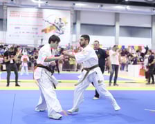 Mistrzostwa Europy w karate we Wrocławiu