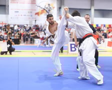 Mistrzostwa Europy w karate we Wrocławiu
