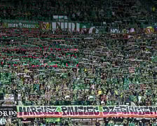 <p>Mecz Śląsk Wrocław - Ruch Chorz&oacute;w 3 sierpnia na Tarczyński Arenie. Zdjęcia kibic&oacute;w</p>