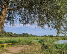 Do wieży w Kotowicach