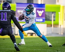 Panthers Wrocław