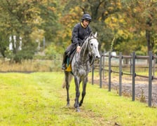 <p>Paweł Pałczyński i Jadmir trenujący przed Crystal Cup. Wrocław, październik 2025</p>