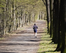 Trasa biegowa wzdłuż Kanału Żeglugowego i Powodziowego między Mostami Chrobrego a Jagiellońskimi