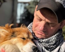 <p>Wroclavia - mama szczeniak&oacute;w uratowanych przez Grupę RATUJ i czekających na adopcję w azylu stowarzyszenia</p>