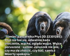 Fragment z raportów przygotowywanych we wrocławskim zoo