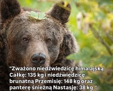 Fragment z raportów przygotowywanych we wrocławskim zoo