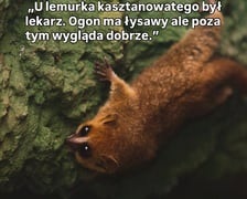 Fragment z raportów przygotowywanych we wrocławskim zoo