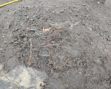 Prace w Parku Grabiszyńskim we Wrocławiu