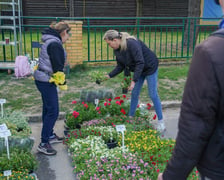 <p>Kiermasz ogrodniczy "Pamiętajcie o ogrodach" na Partynicach, Wrocław 26.04.2026.</p>