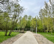 Powstający park przy ul. Idzikowskiego we Wrocławiu