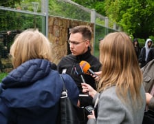 <p>Pożegnanie tygrysa o imieniu Musi, 15 maja 2026</p>