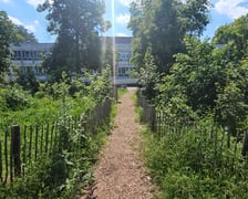 Wrocławski mikrolas Miyawaki