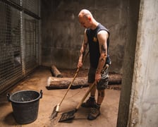 Praca opiekunów ssaków drapieżnych we wrocławskim zoo