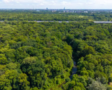 <p>Rezerwat w Lesie Pilczyckim - widok z drona</p>