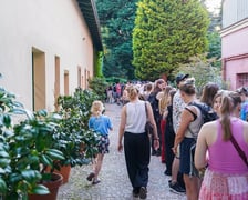 Kwitnące dziwidło olbrzymie z Ogrodu Botanicznego UWr wieczorem 25 czerwca 2026 r.