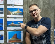 <p>Jakub Kordas, dyrektor hodowlany we wrocławskim zoo</p>