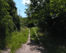 Działka na której ma powstać Park Henrykowski
