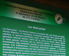 Las Mokrzański to największy las w granicach administracyjnych Wrocławia. Zajmuje powierzchnię ponad 550 hektarów