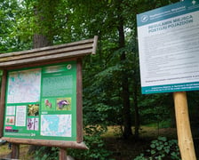 Las Mokrzański to największy las w granicach administracyjnych Wrocławia. Zajmuje powierzchnię ponad 550 hektarów