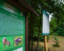 Las Mokrzański to największy las w granicach administracyjnych Wrocławia. Zajmuje powierzchnię ponad 550 hektarów