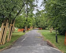 <p>Park Szczytnicki - zabezpieczenie zieleni przed pracami remontowymi, lipiec 2026</p>